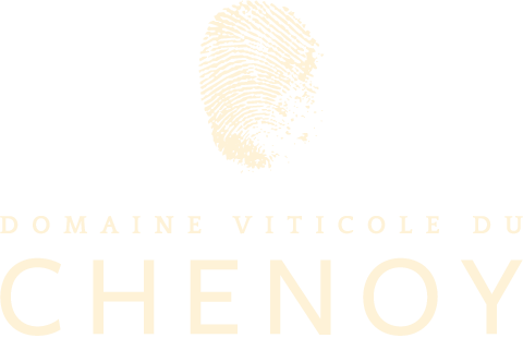 Логотип Domaine du Chenoy