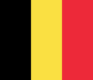 Государственный флаг Бельгии фото