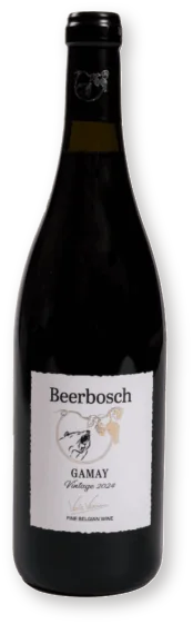 Бутылка Gamay — Wijndomein Beerbosch Бутылка вина Gamay винодельни Wijndomein Beerbosch