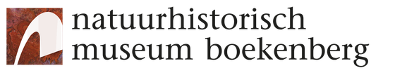 Логотип Natuurhistorisch Museum Boekenberg Логотип Natuurhistorisch Museum Boekenberg