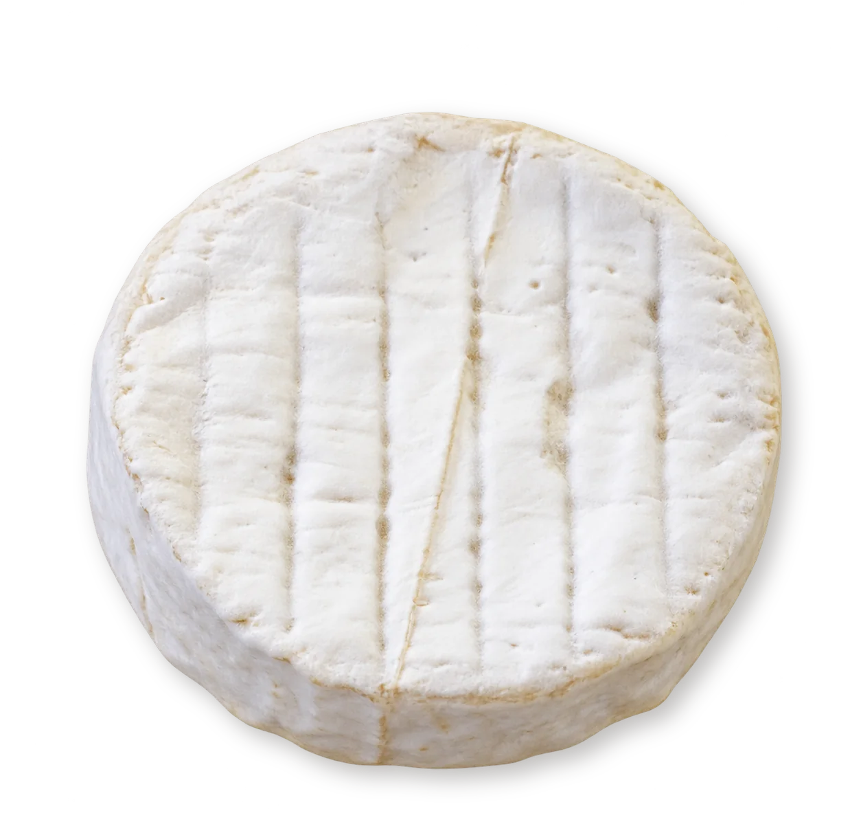 Camembert de chèvre — Fromagerie de la Marchette Camembert de chèvre — Fromagerie de la Marchette