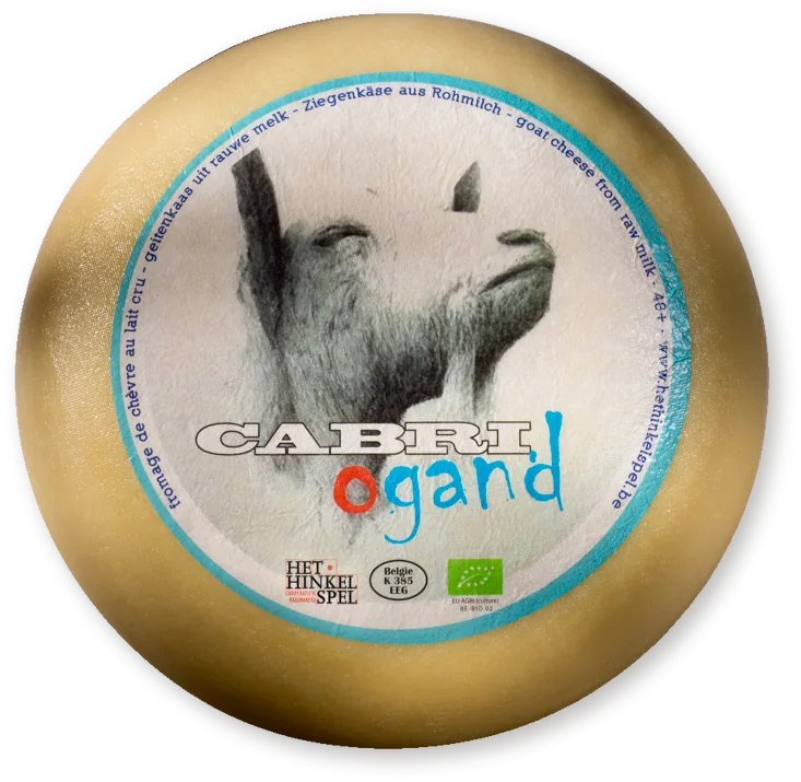 CabriOgand — Het Hinkelspel CabriOgand — Het Hinkelspel