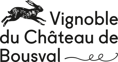 Логотип Vignoble du Château de Bousval
