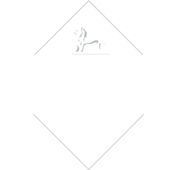 Логотип Mémorial 1815 — Domaine de la bataille de Waterloo