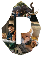 Логотип Préhistomuseum Логотип Préhistomuseum